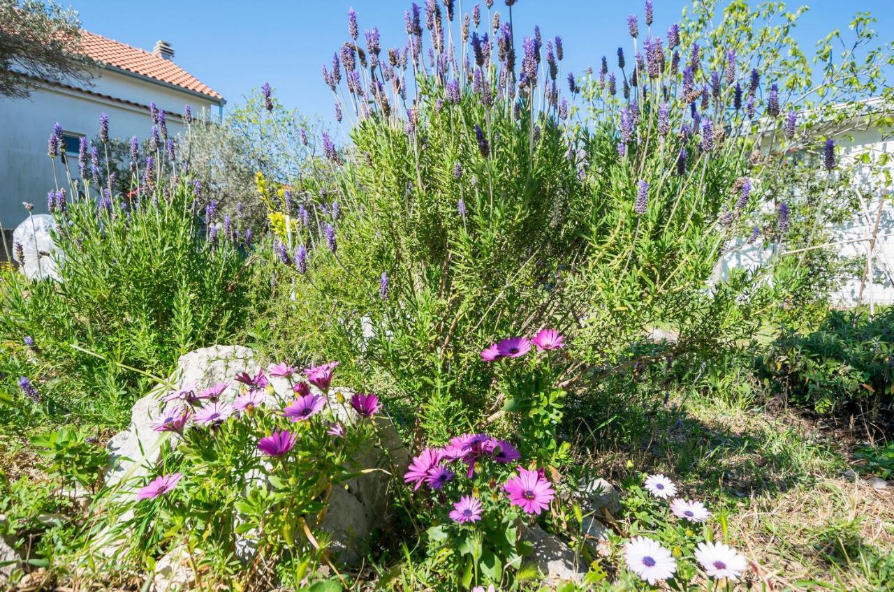 Apartment Alenka Μούρτερ Εξωτερικό φωτογραφία