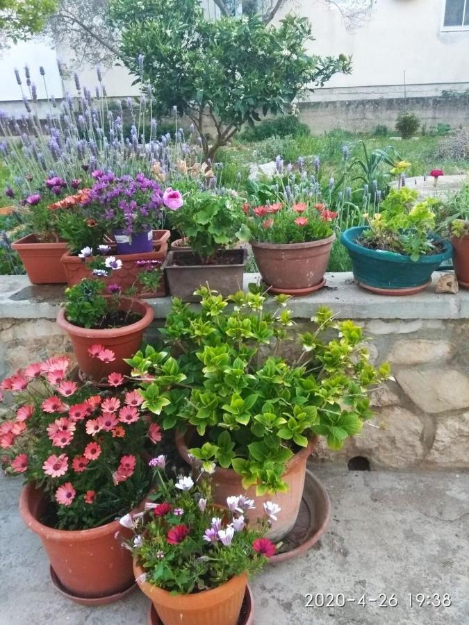 Apartment Alenka Μούρτερ Εξωτερικό φωτογραφία
