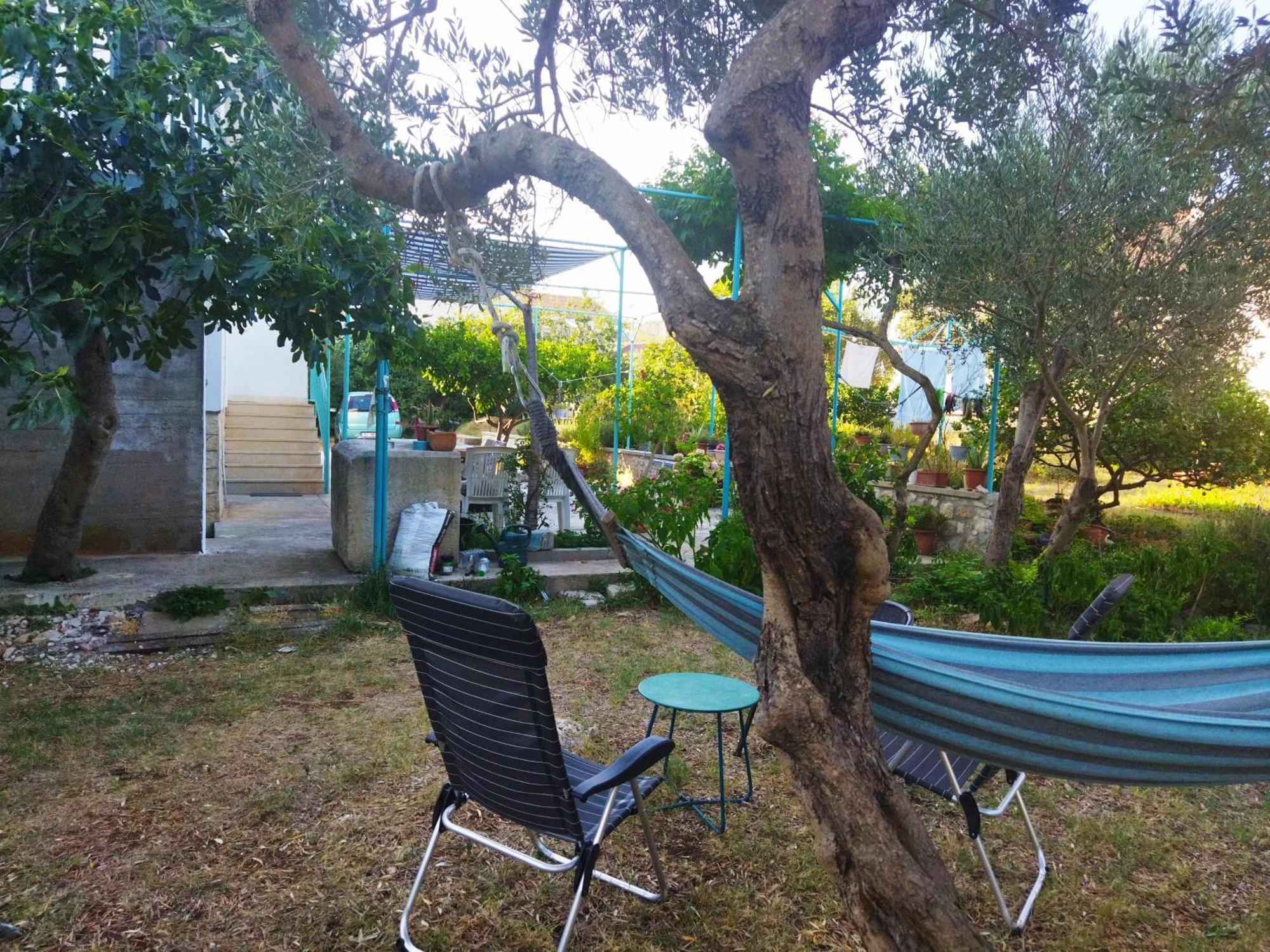 Apartment Alenka Μούρτερ Εξωτερικό φωτογραφία